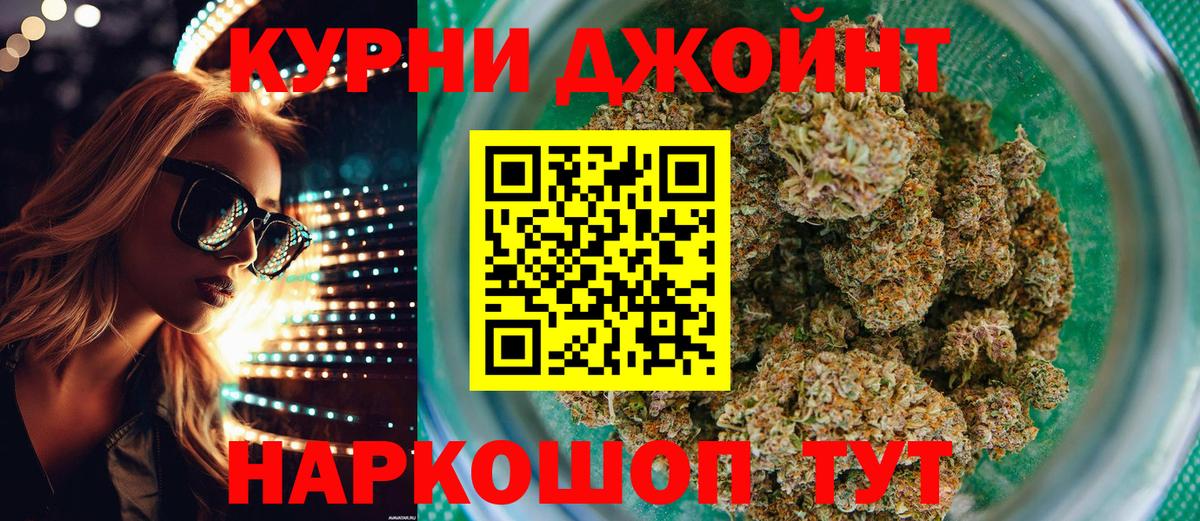 Конопля сатива Дубна